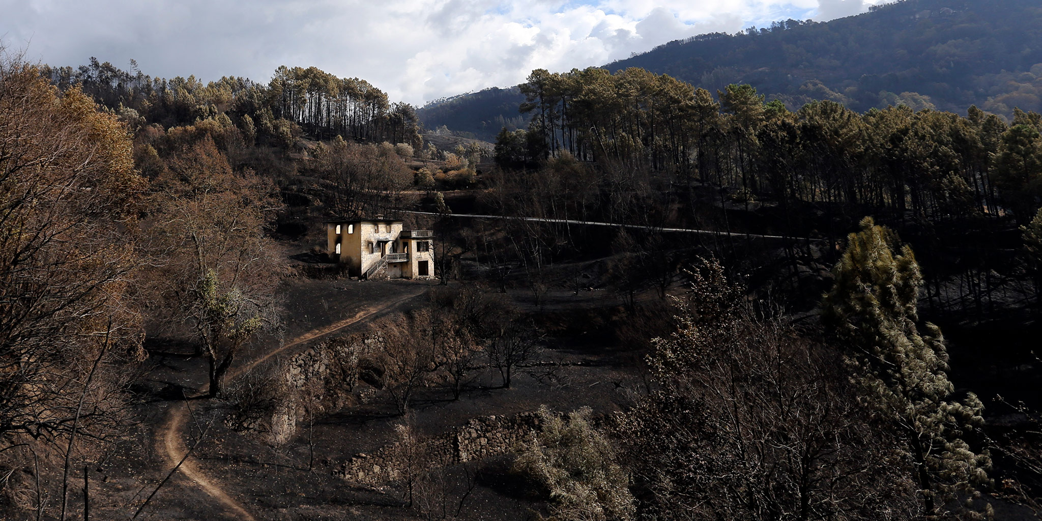 Casas destruídas pelo fogo em Pedrógão reconstruídas em 2018